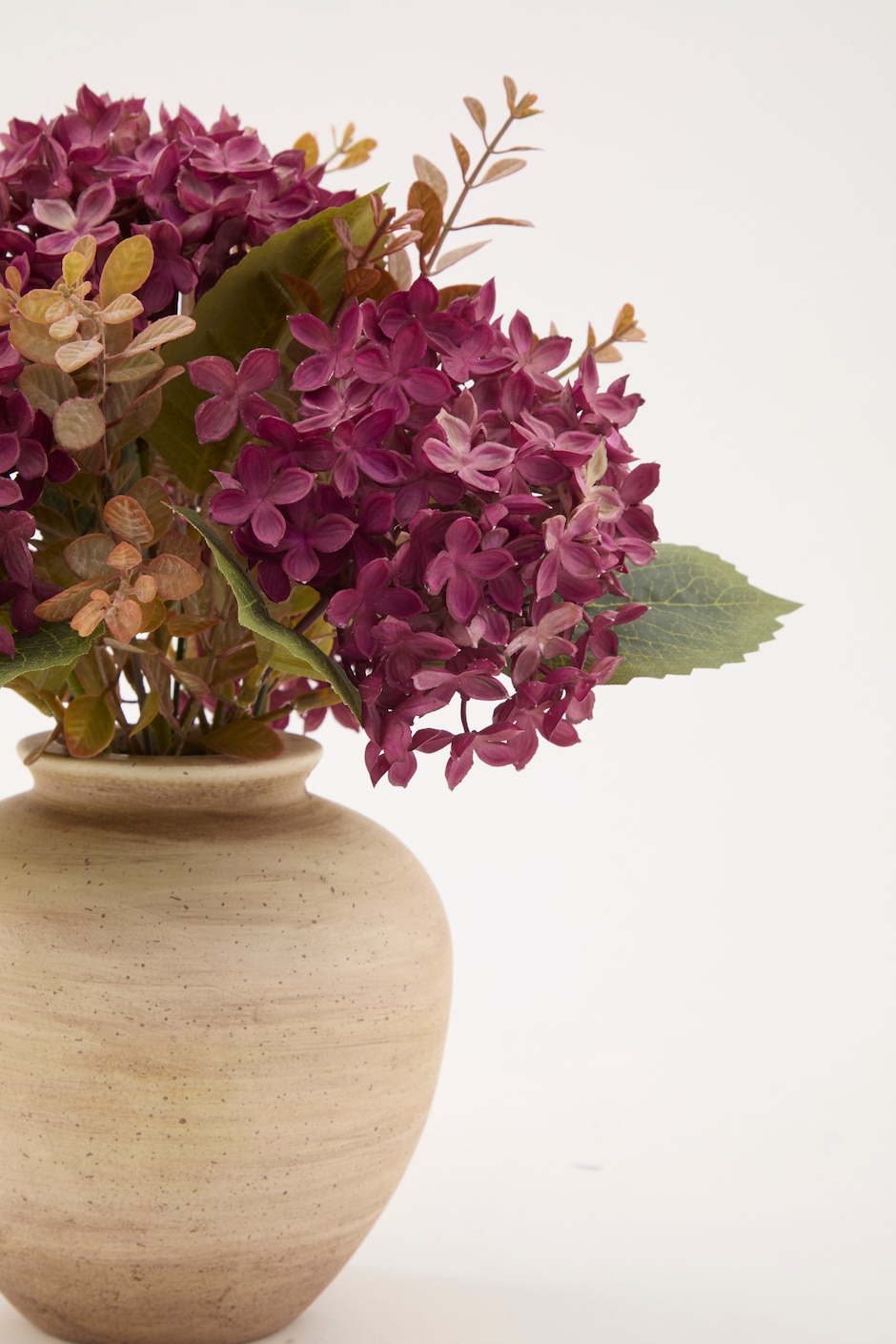 Flor de hortensia 4