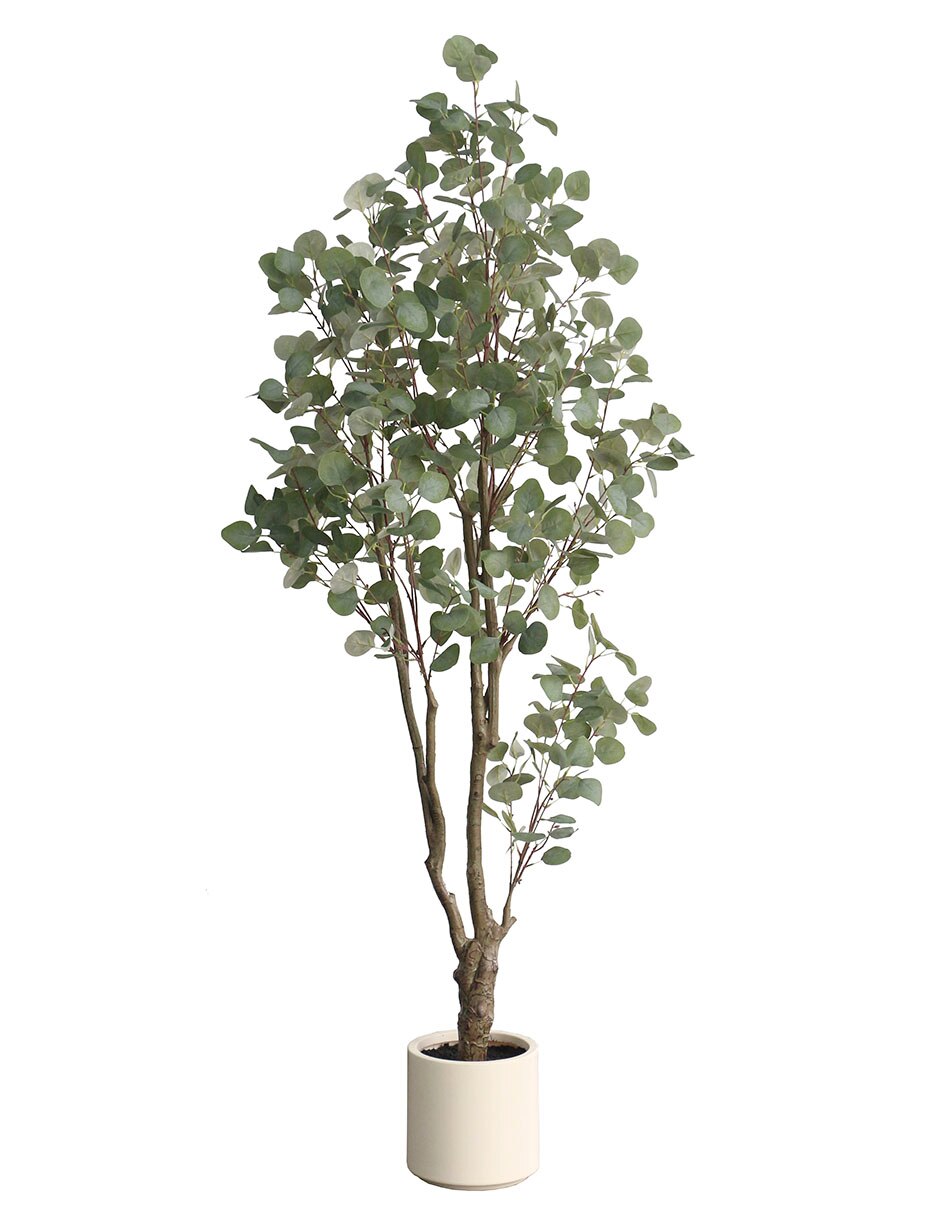 Árbol 1