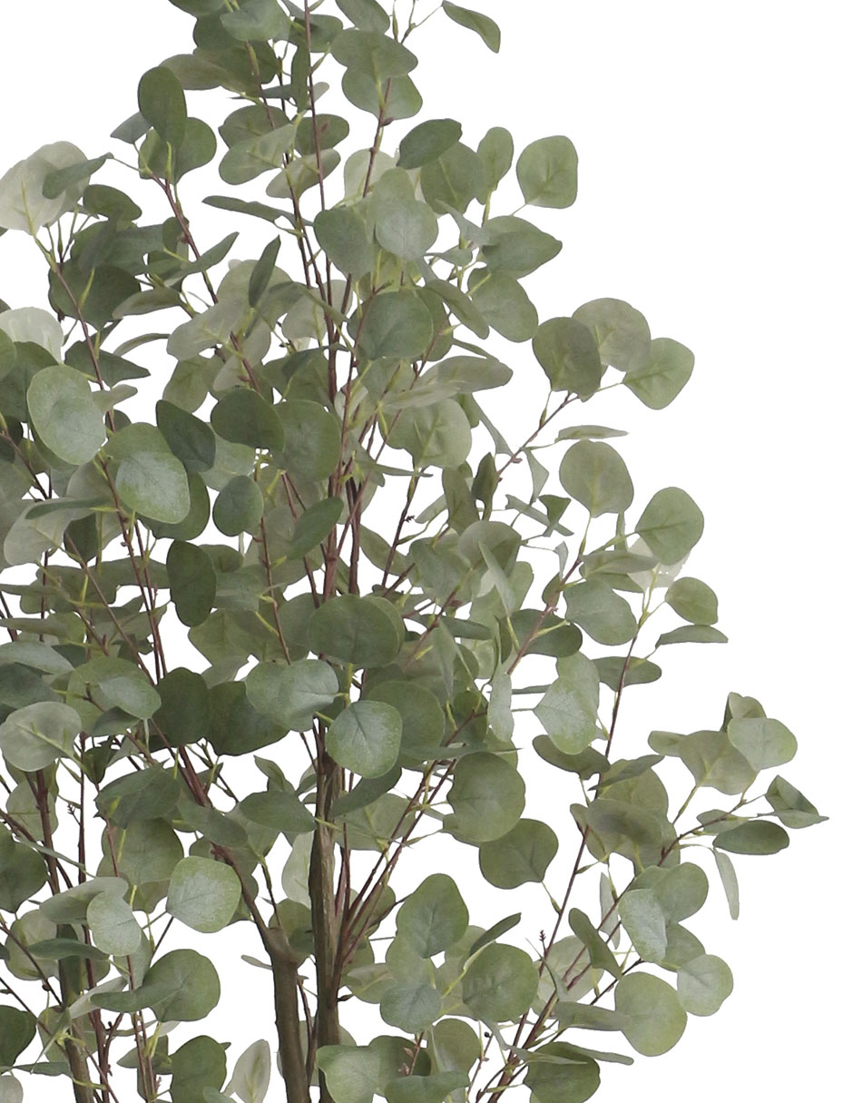 Árbol 2