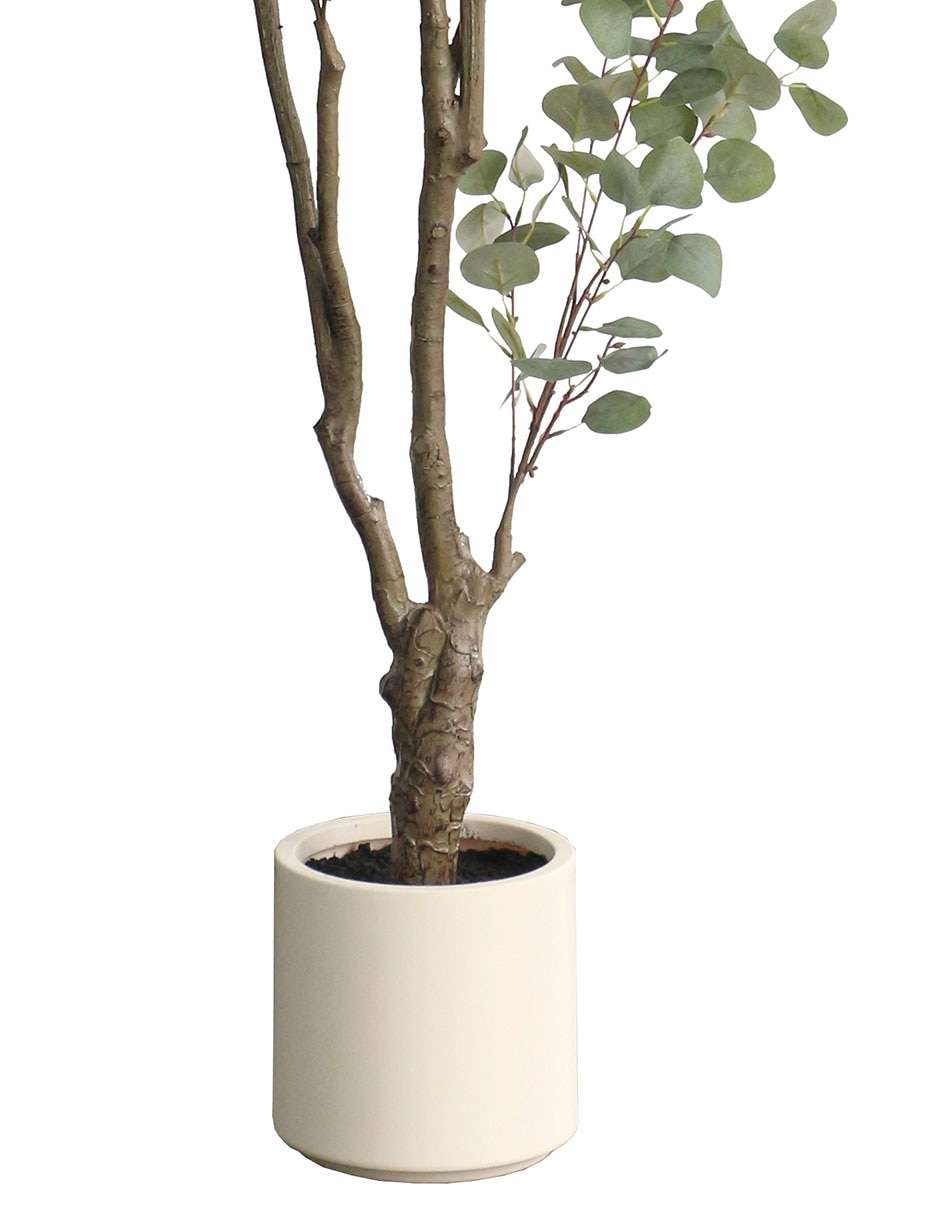 Árbol Árbol