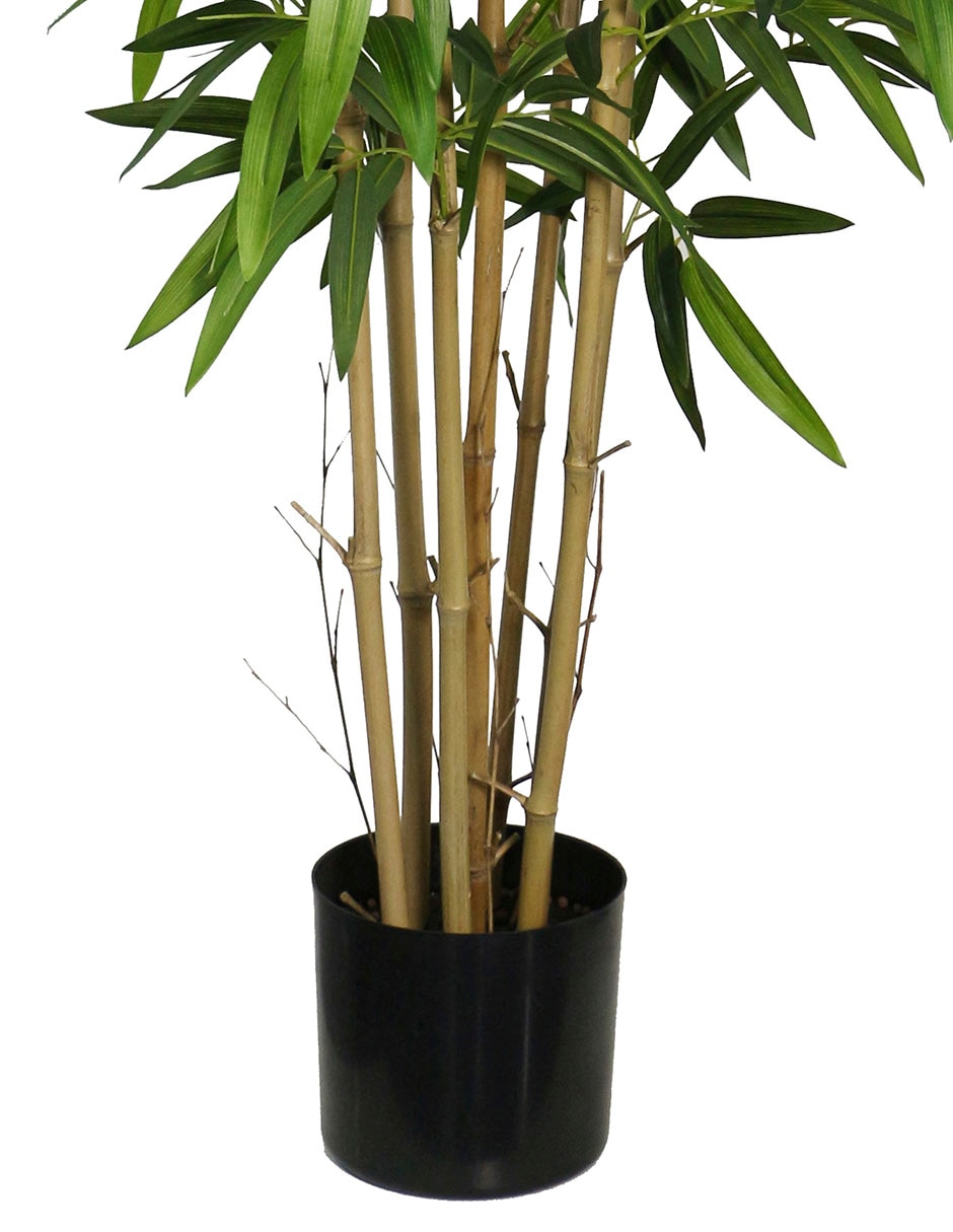 Árbol
