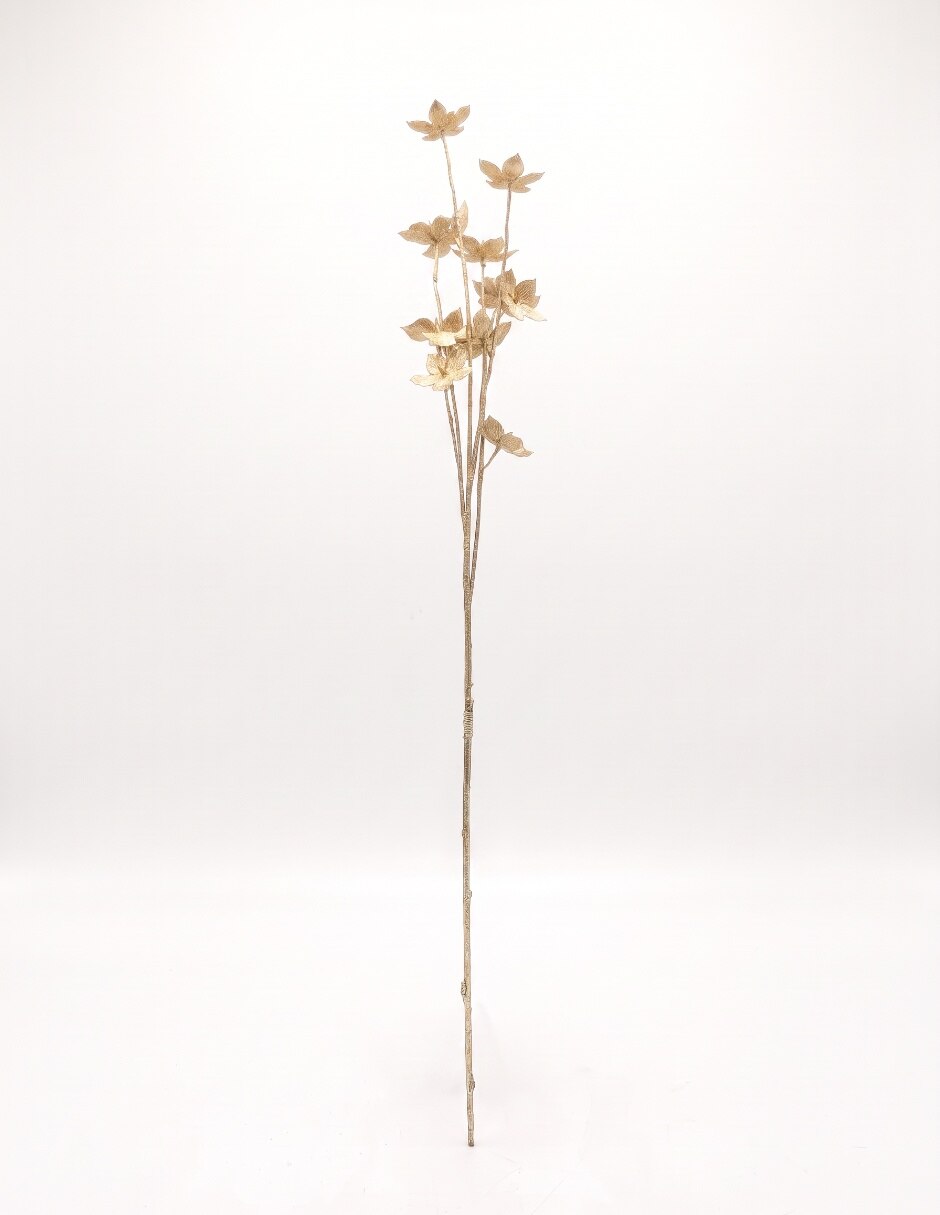 Anís estrellado decorativa 2