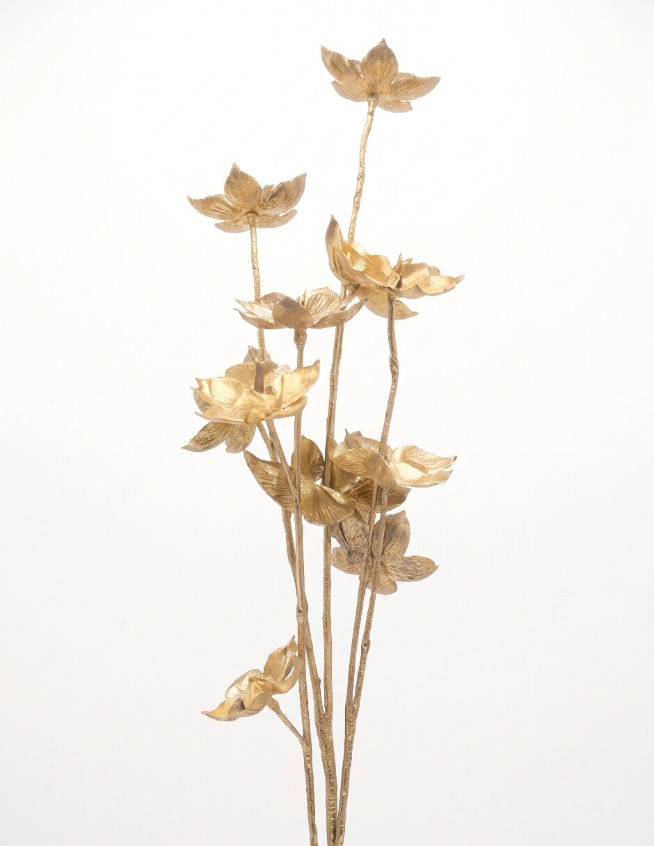 Anís estrellado decorativa 3