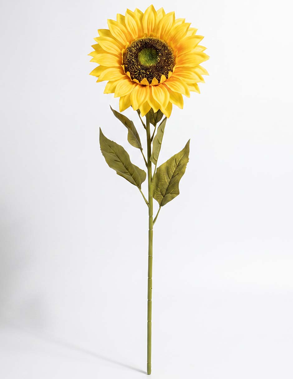 Flor de girasol Flor de girasol