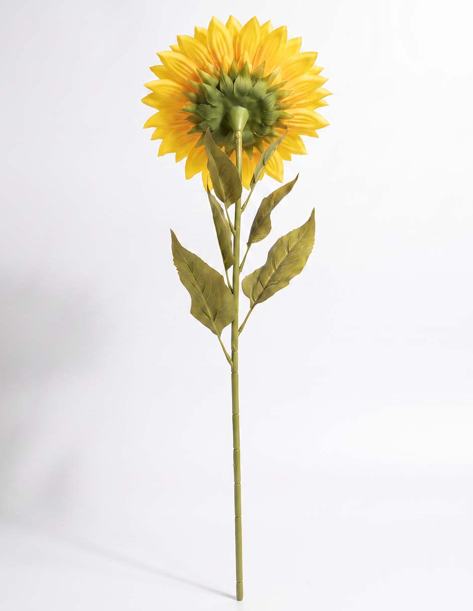 Flor de girasol 3