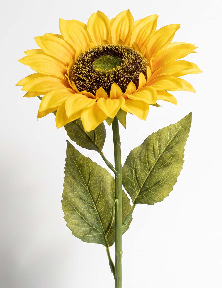 Flor de girasol 2