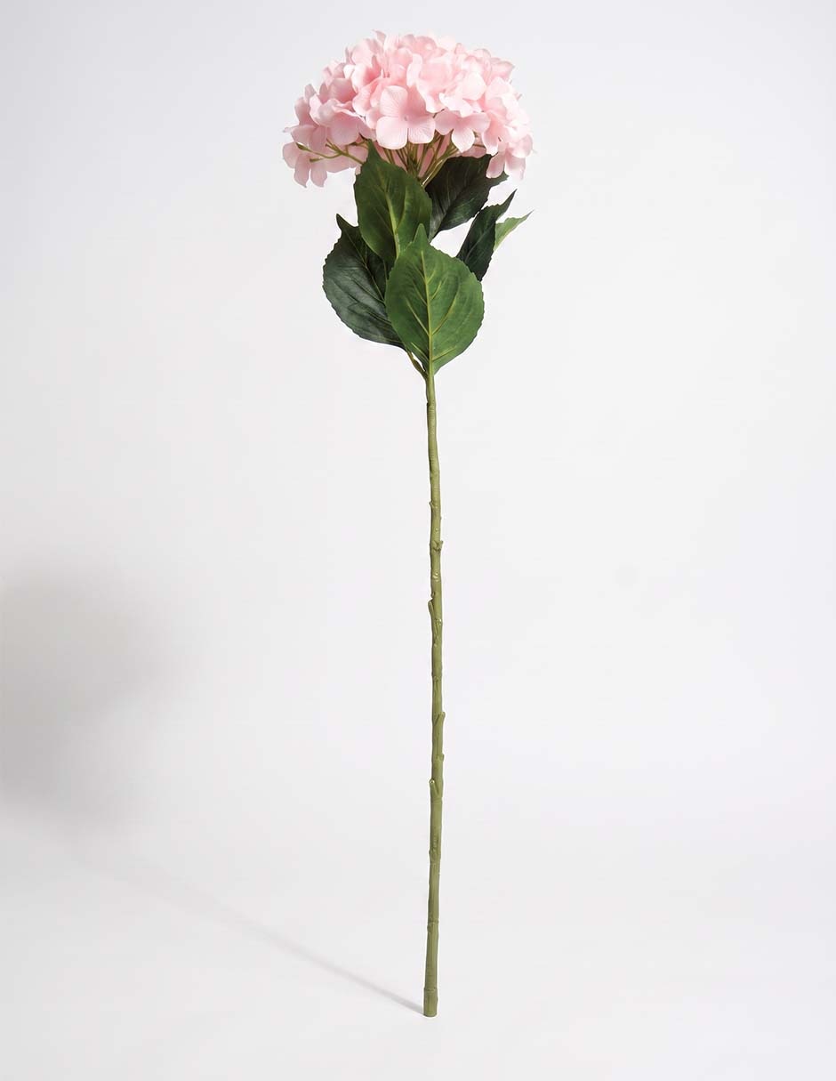 Flor de hortensia 2