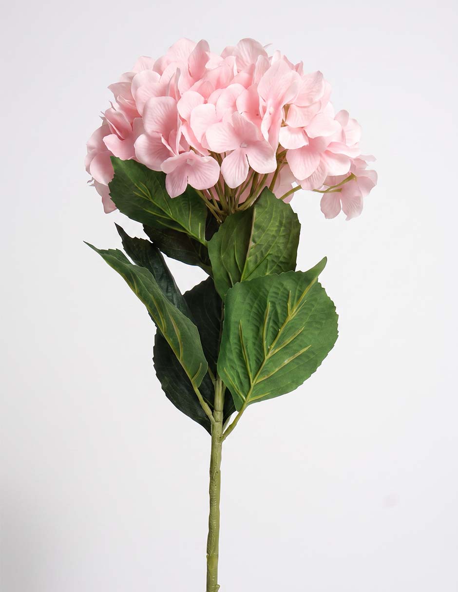 Flor de hortensia 3