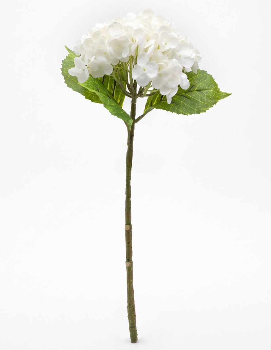 Flor de hortensia Flor de hortensia