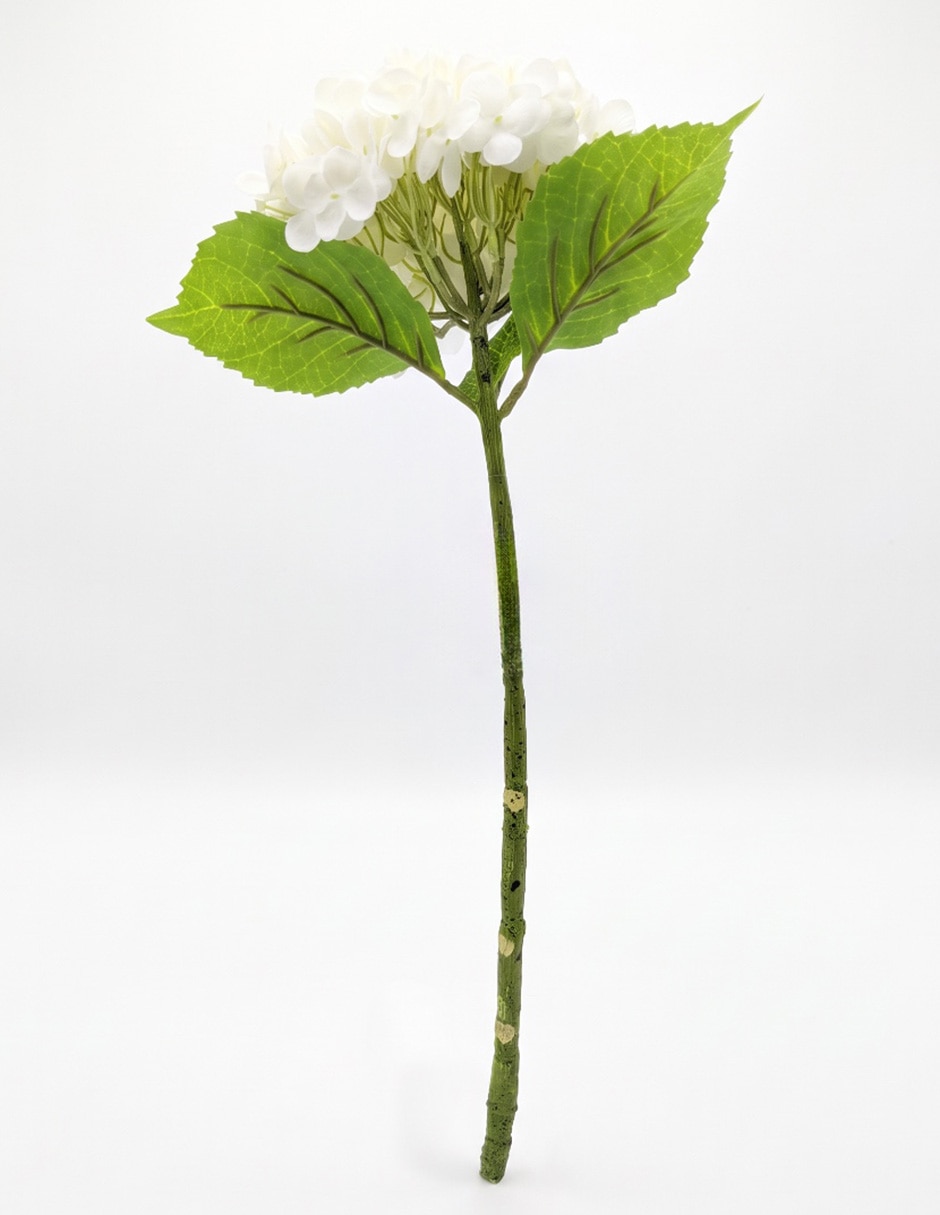 Flor de hortensia 2