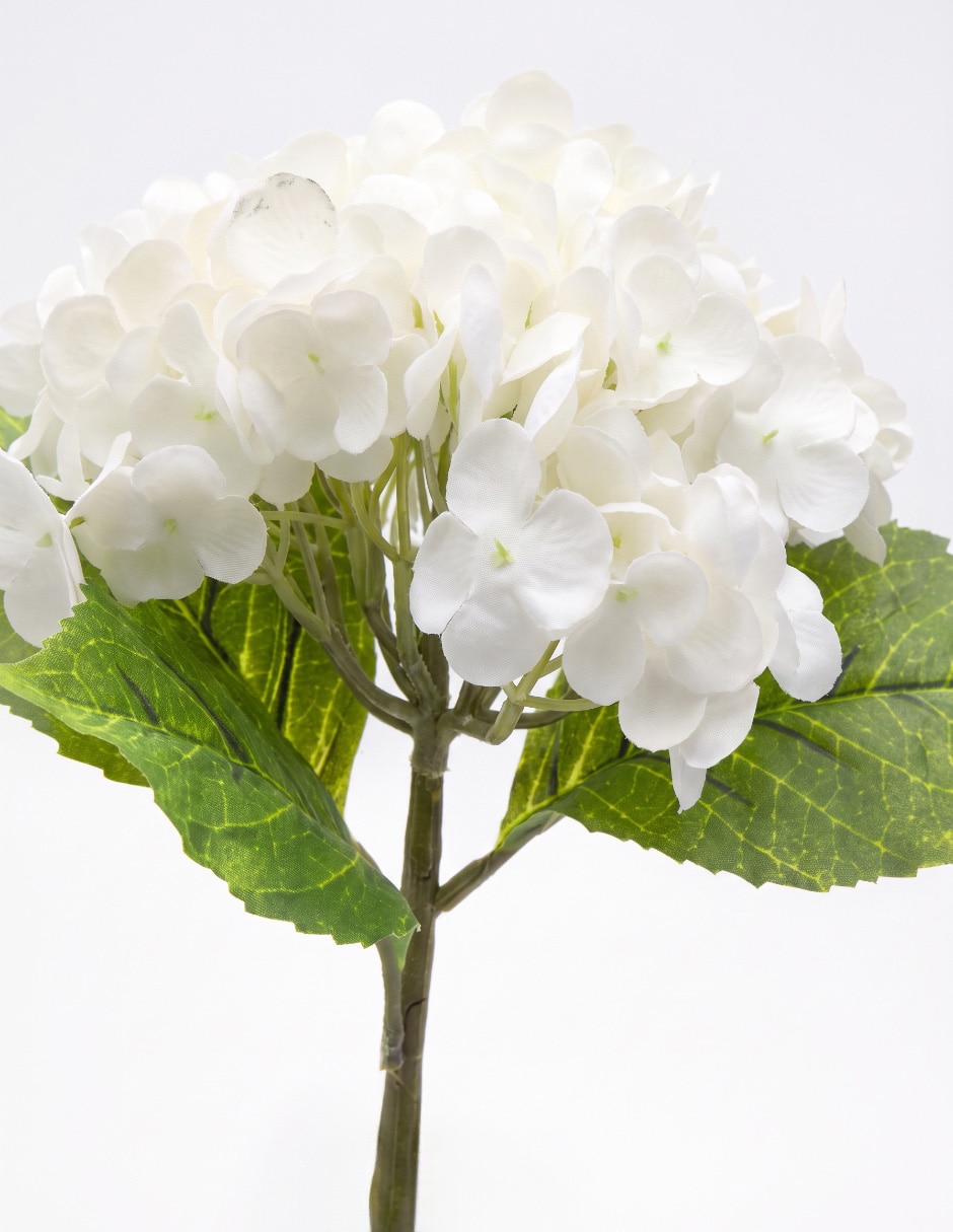 Flor de hortensia 3