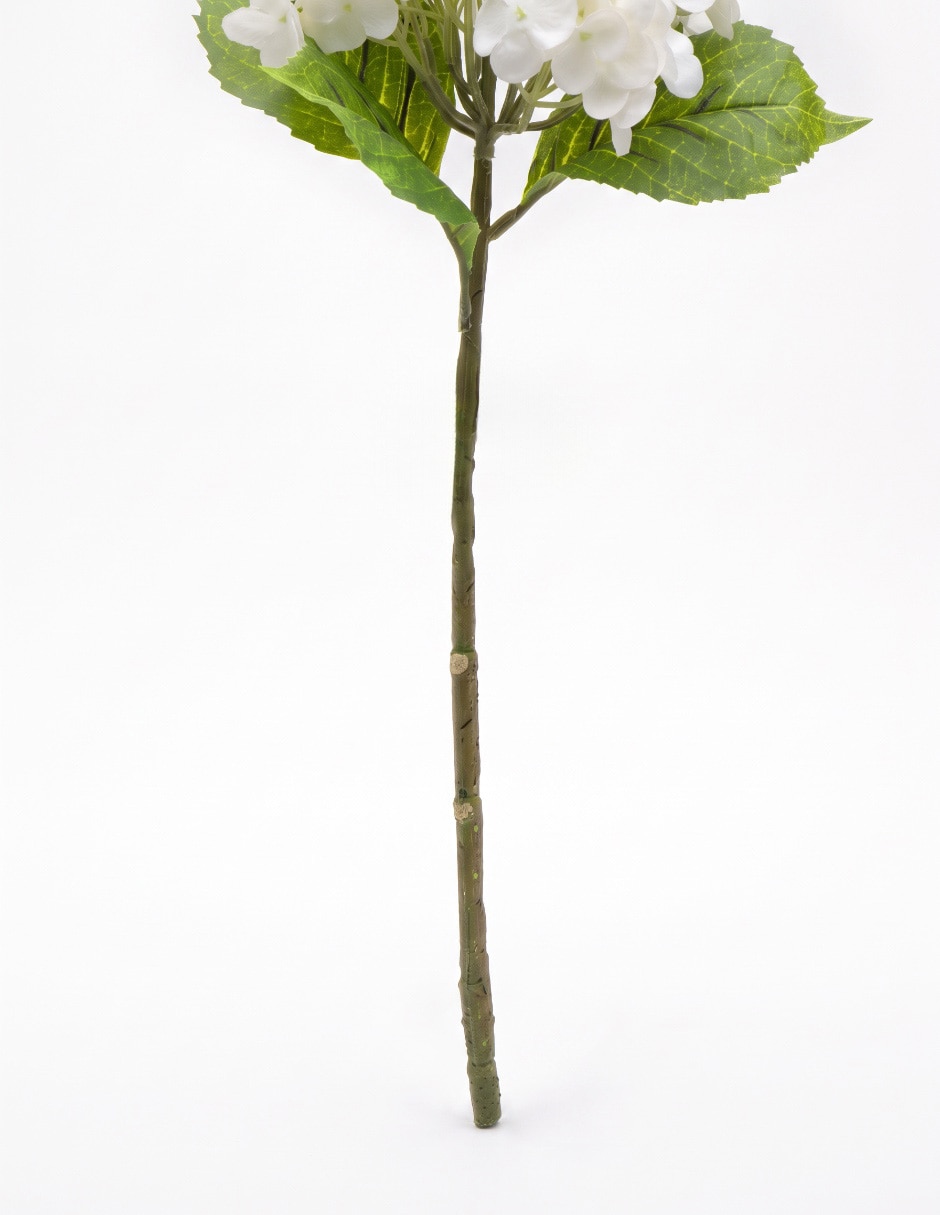 Flor de hortensia 4