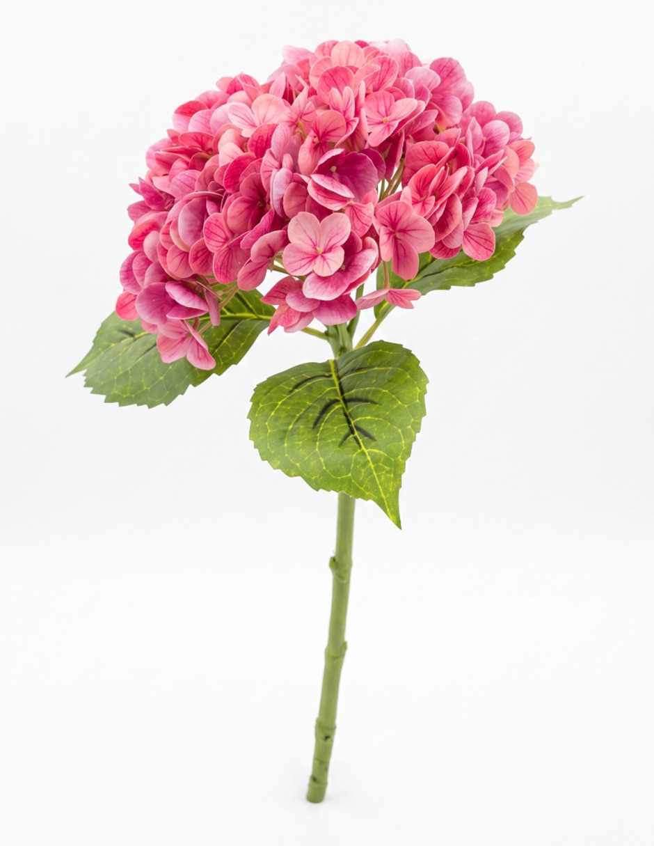 Flor de hortensia Flor de hortensia