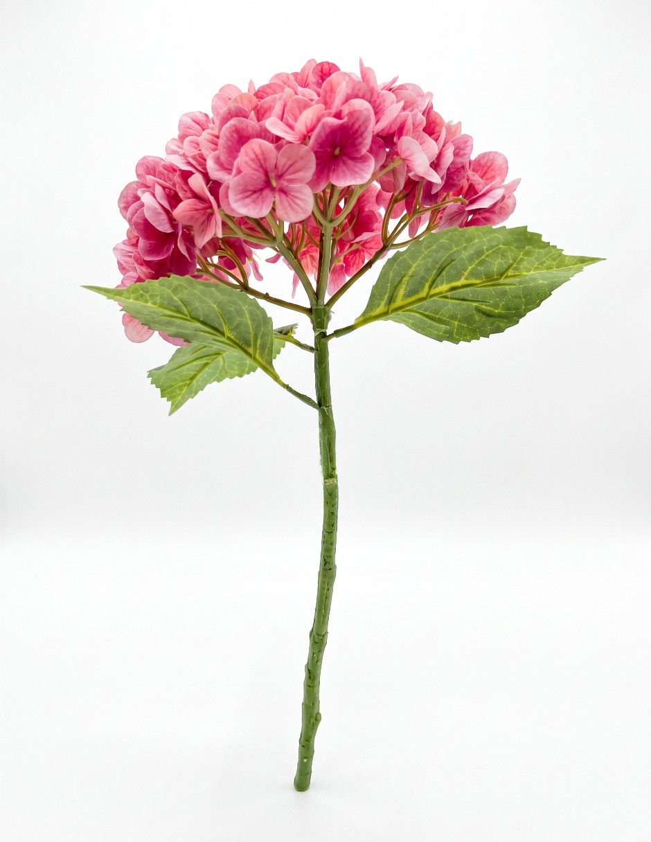 Flor de hortensia 2
