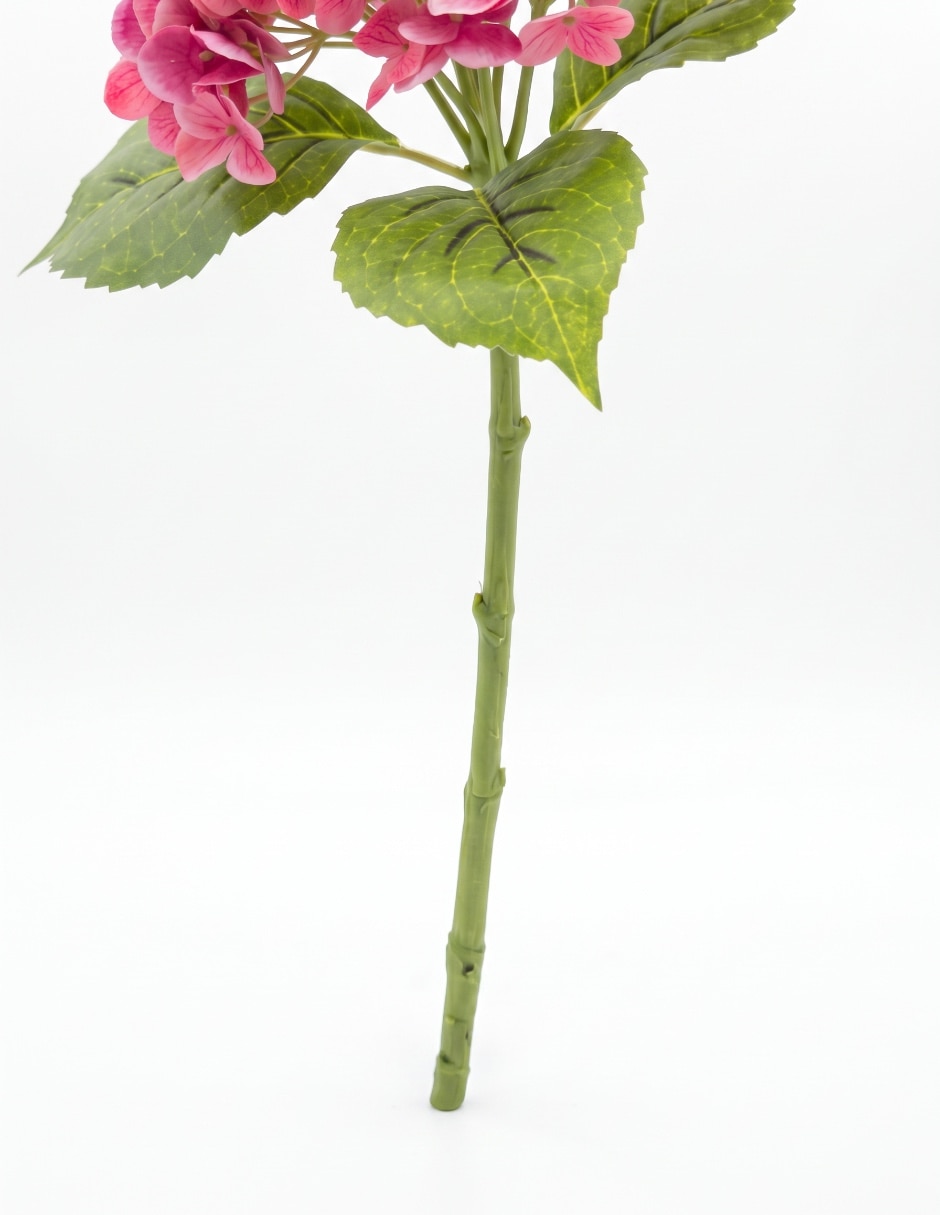 Flor de hortensia 4