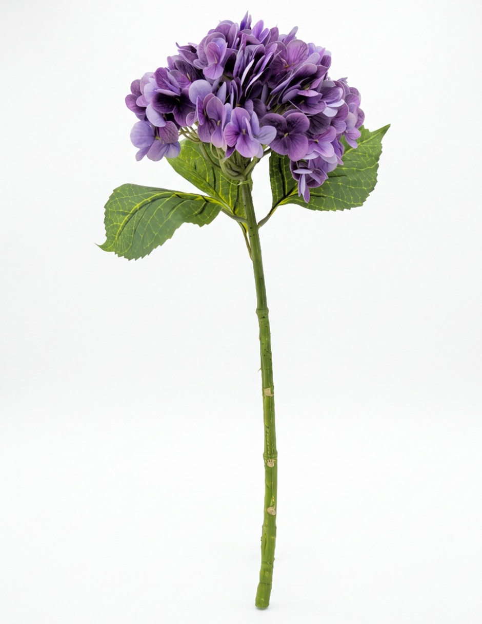 Flor de hortensia