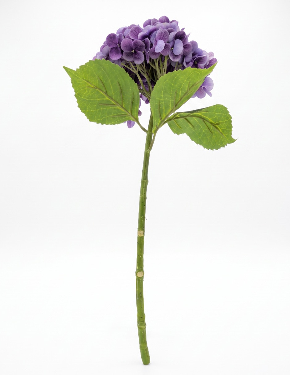 Flor de hortensia 2