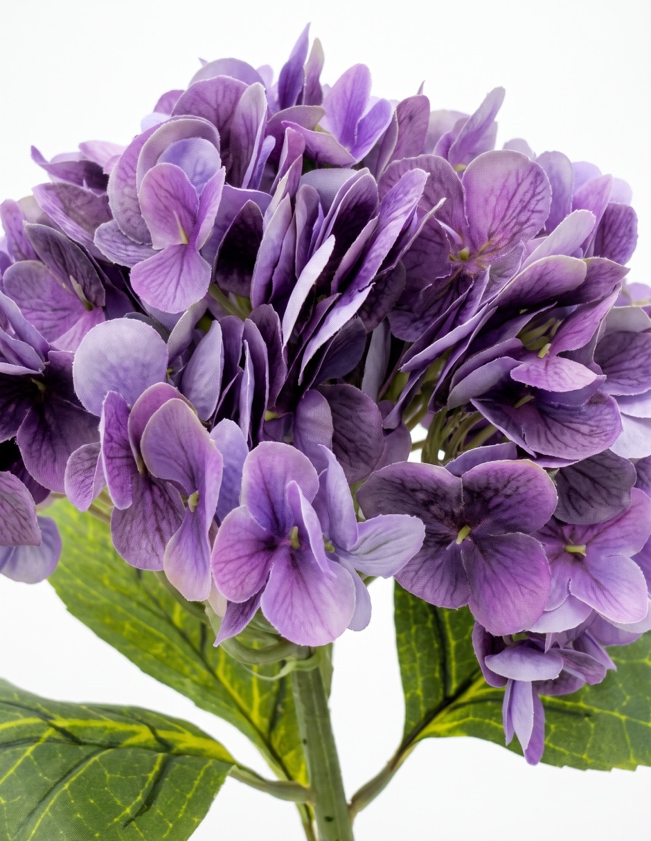 Flor de hortensia 3