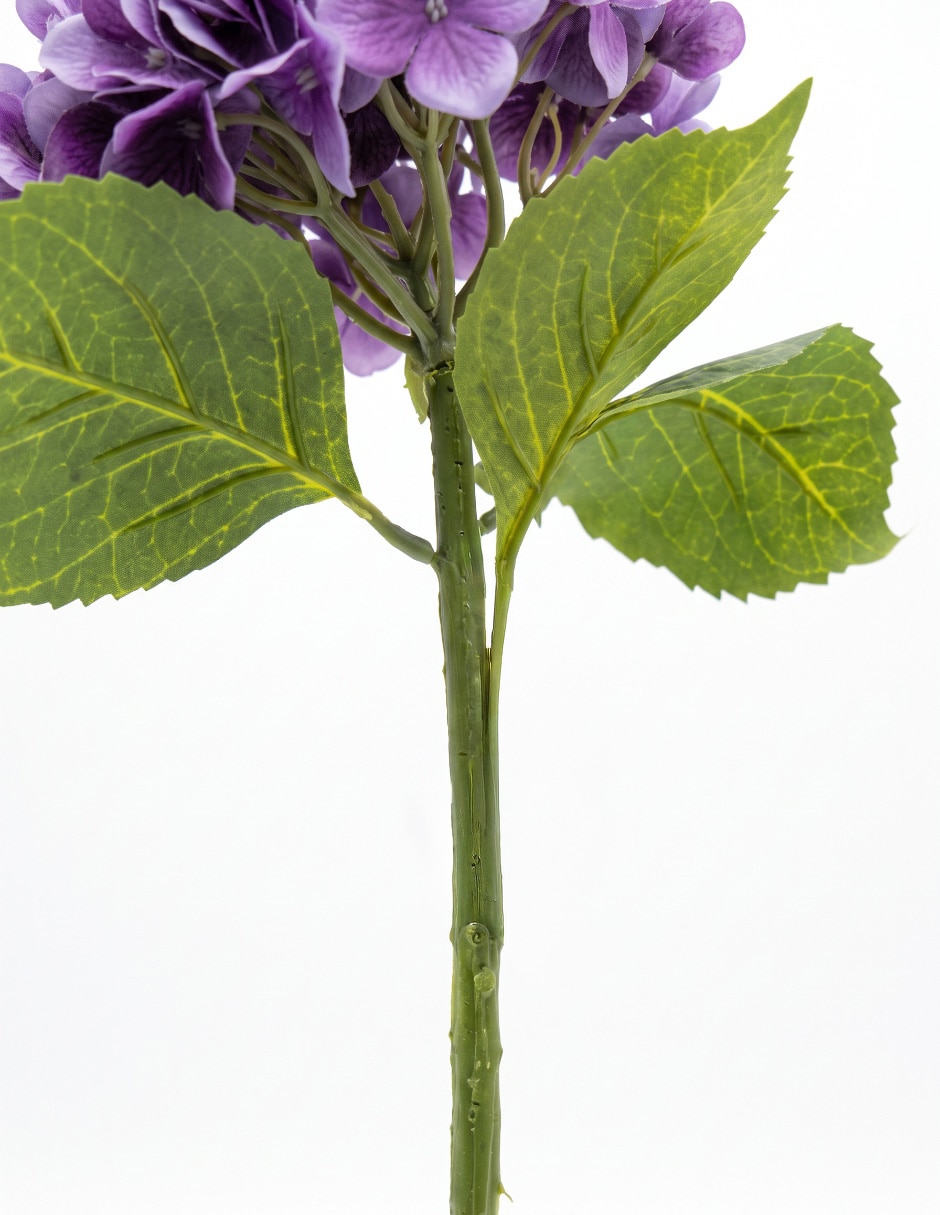 Flor de hortensia 4