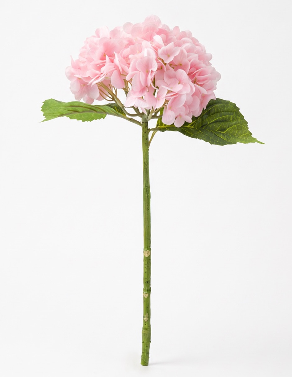 Flor de hortensia