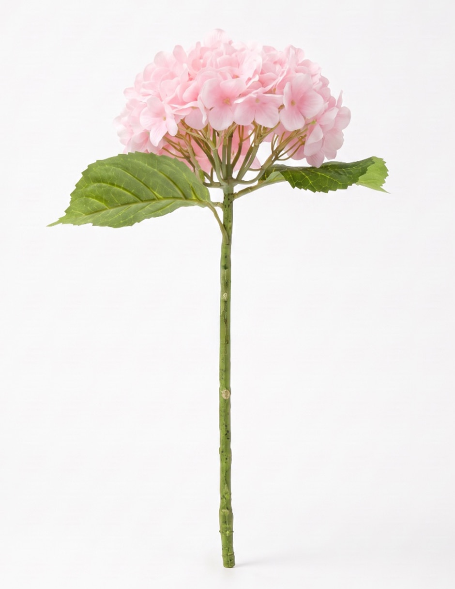 Flor de hortensia 2