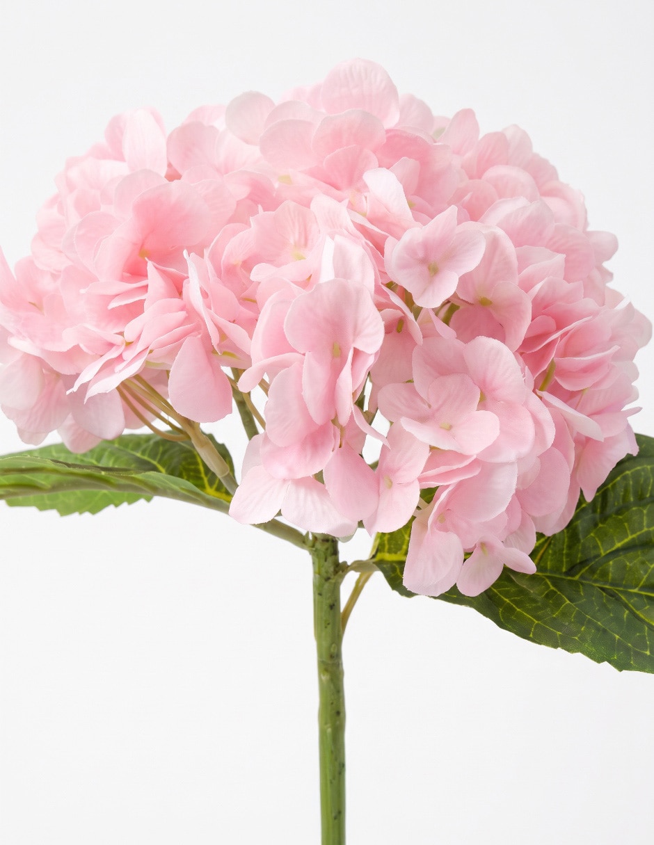 Flor de hortensia 3