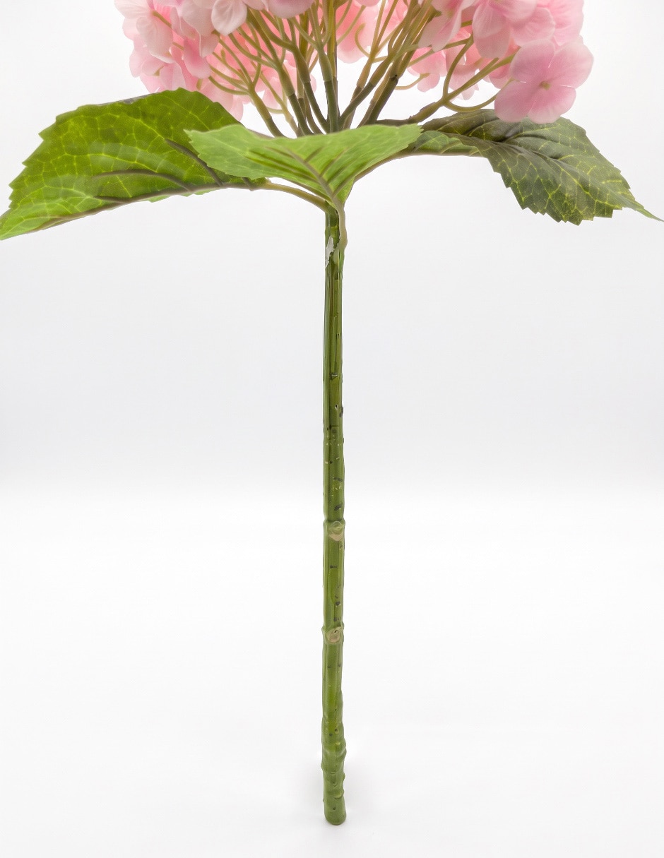 Flor de hortensia 4