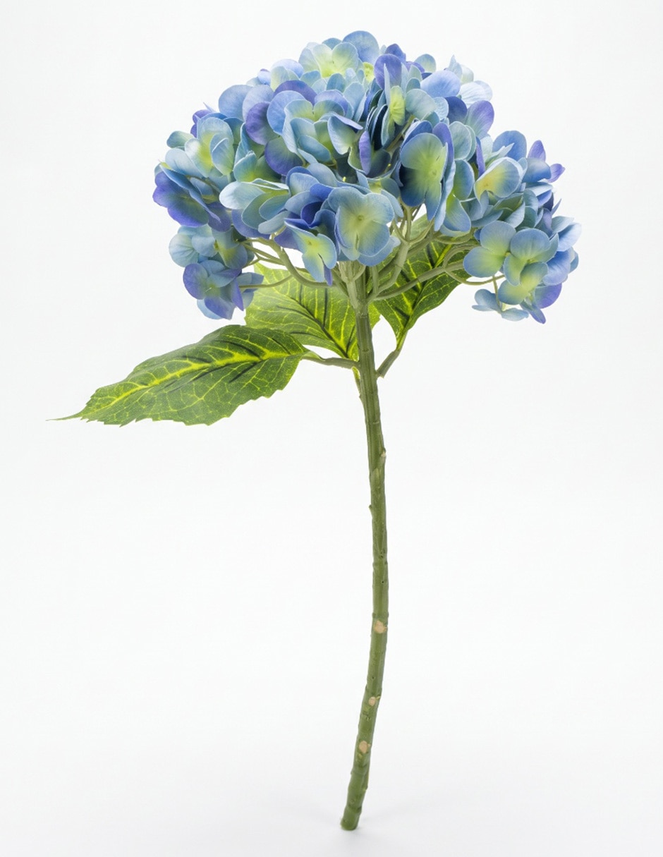 Flor de hortensia