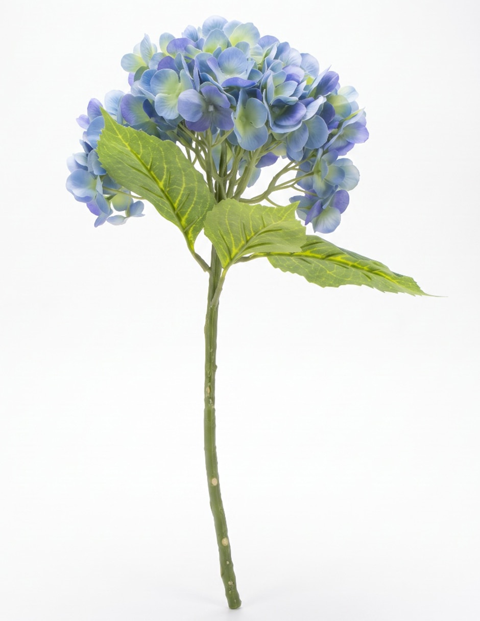 Flor de hortensia 2