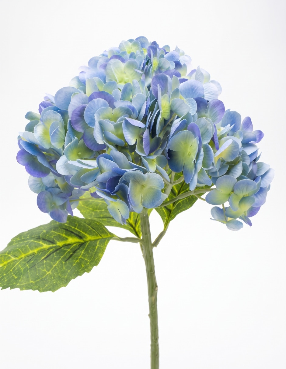 Flor de hortensia 3