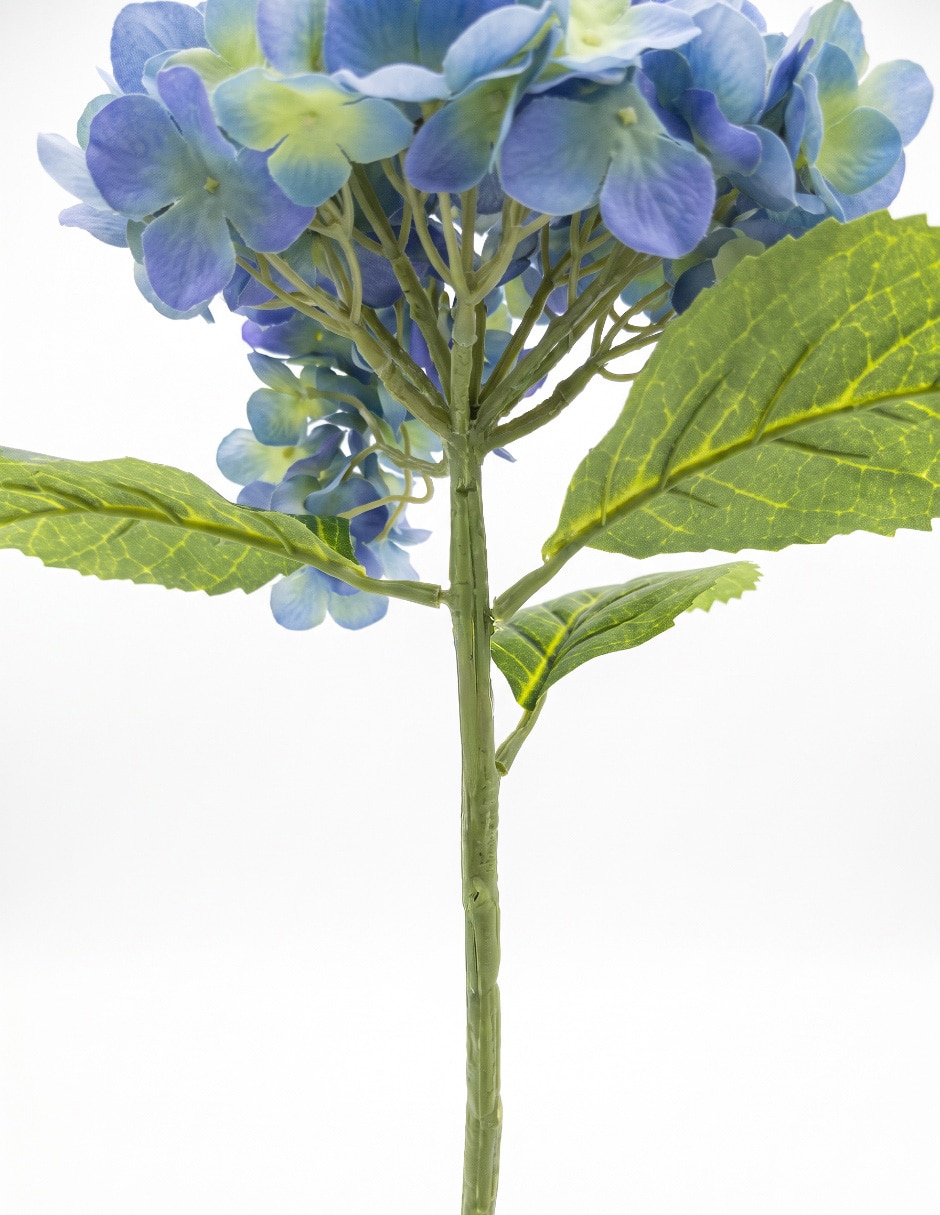 Flor de hortensia 4