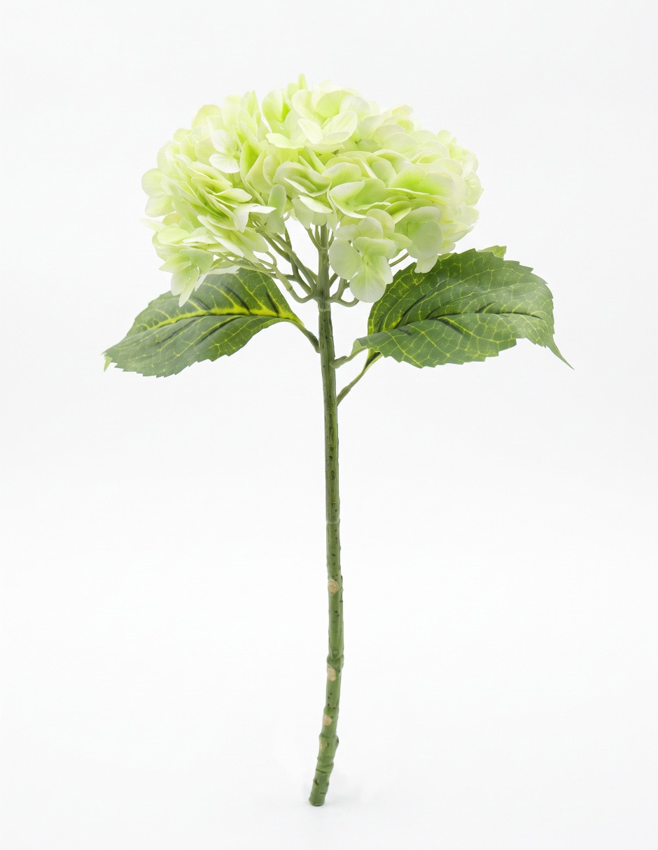 Flor de hortensia Flor de hortensia
