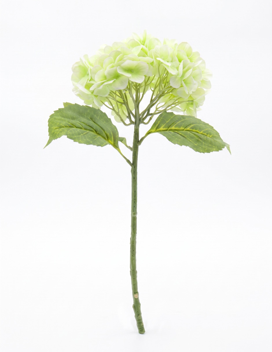 Flor de hortensia 2