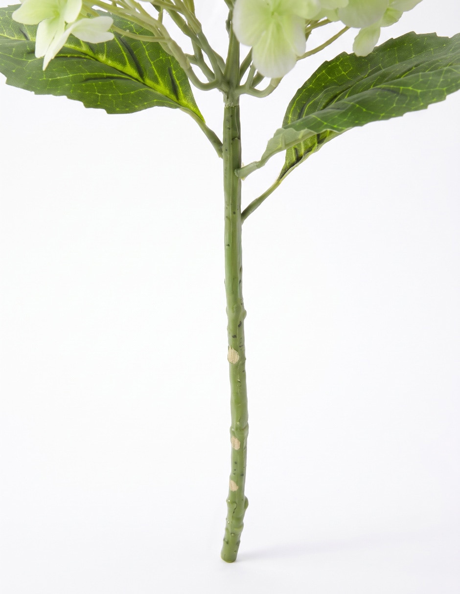 Flor de hortensia 4