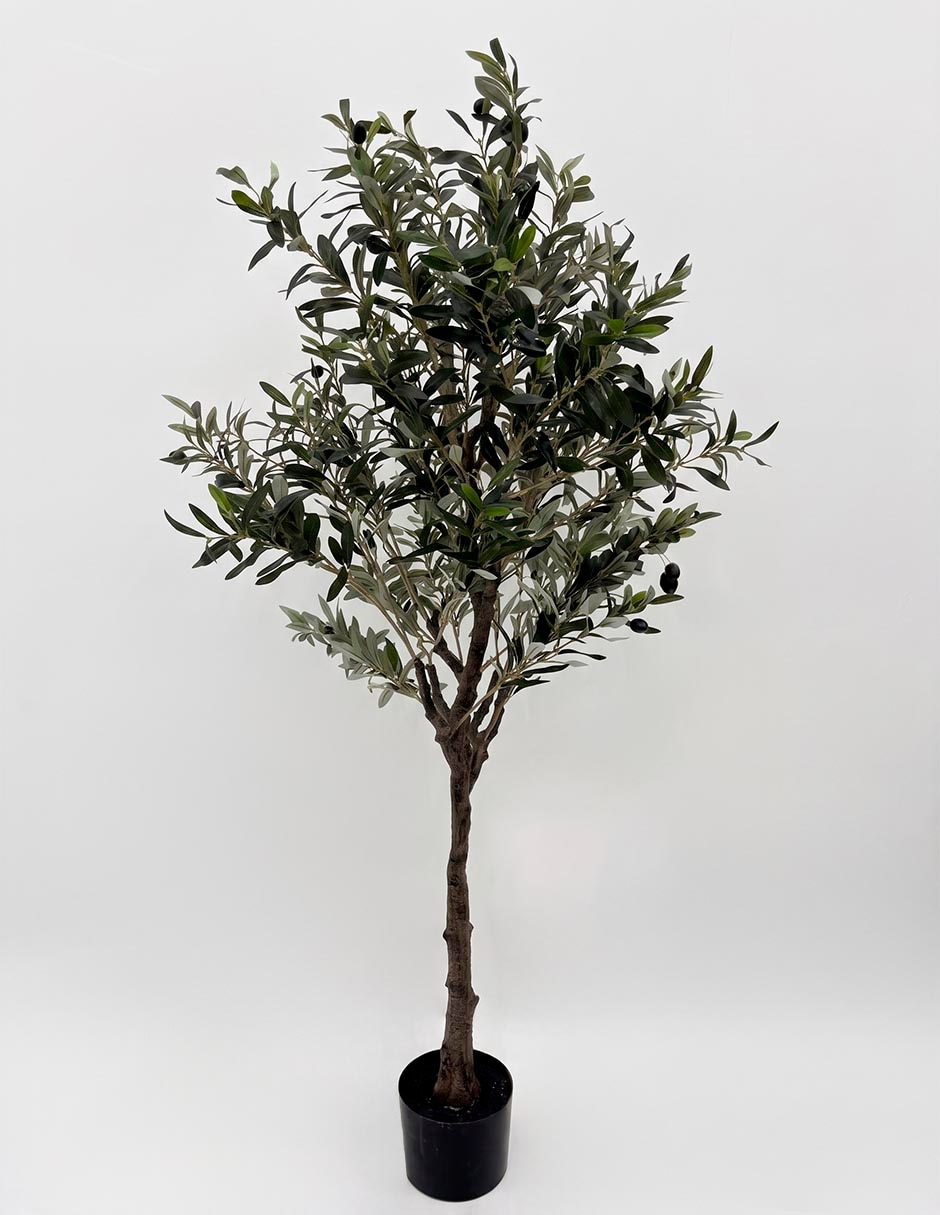Árbol