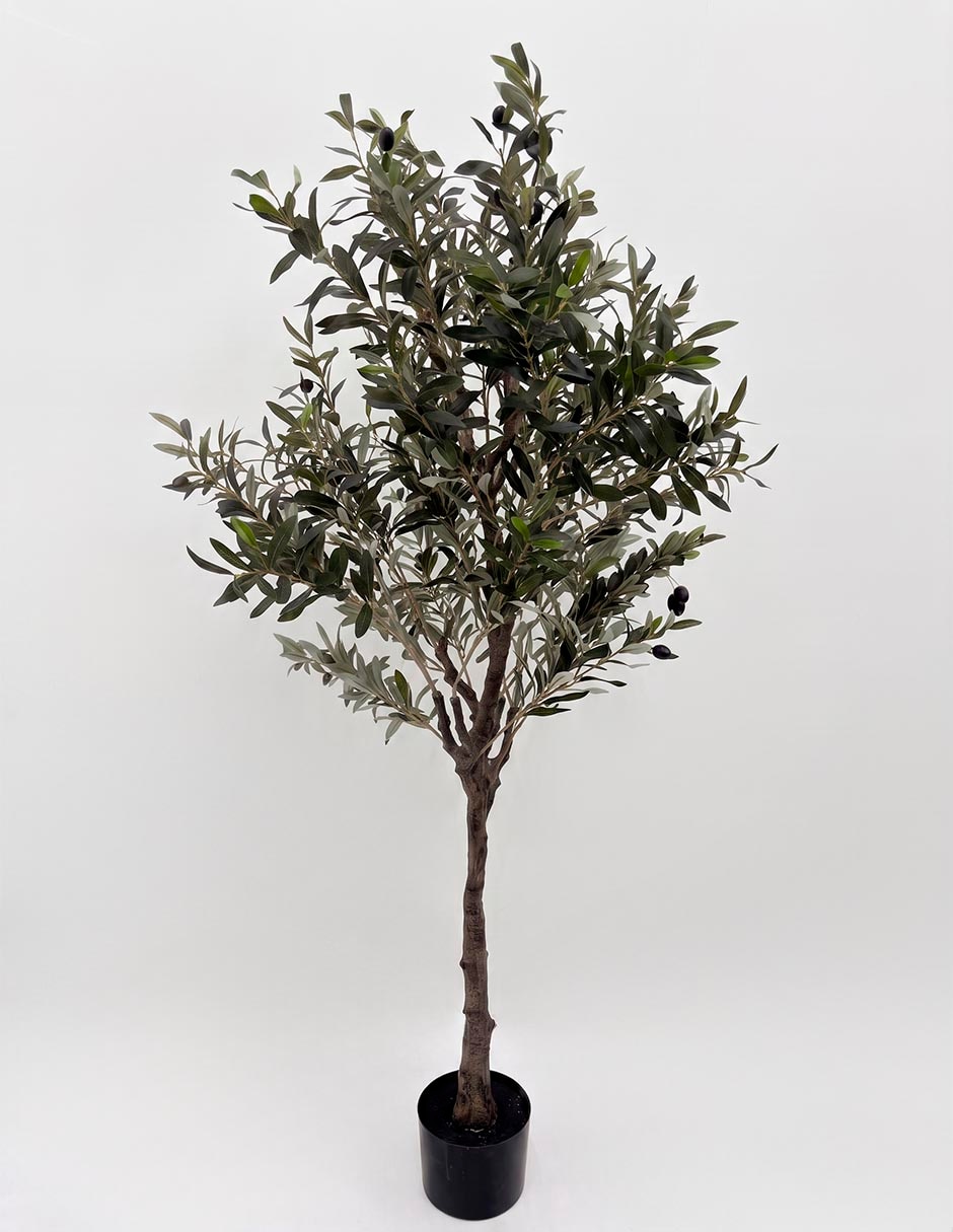 Árbol