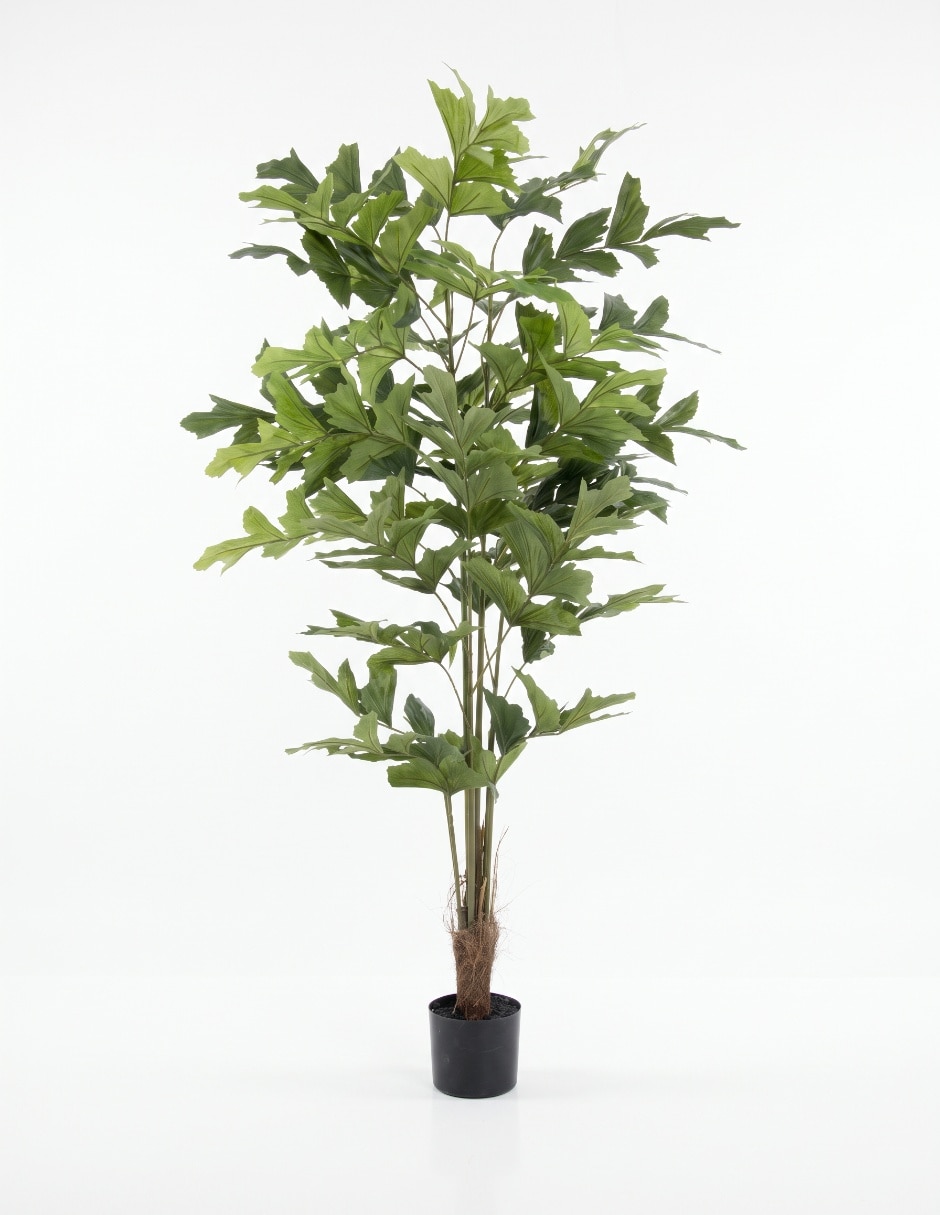 PREELABORADO ORQUÍDEA, 25 CM, BLANCO PREELABORADO ORQUÍDEA, 25 CM, BLANCO