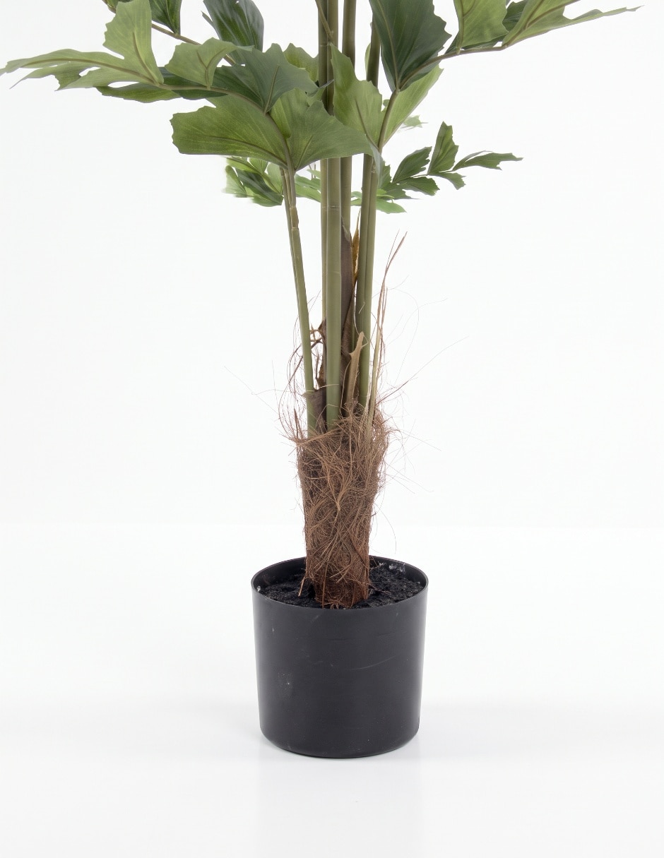 PREELABORADO ORQUÍDEA, 25 CM, BLANCO 2