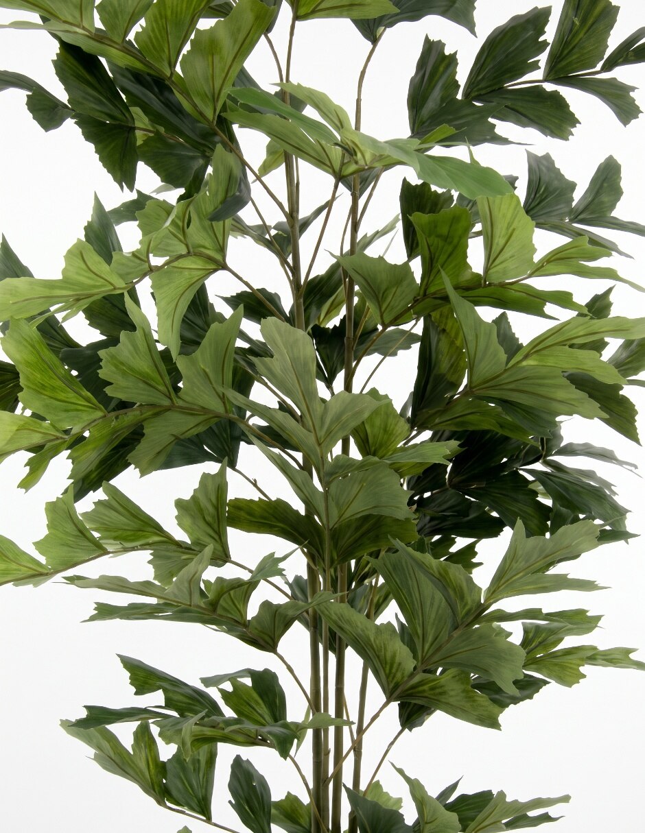 PREELABORADO ORQUÍDEA, 25 CM, BLANCO 3