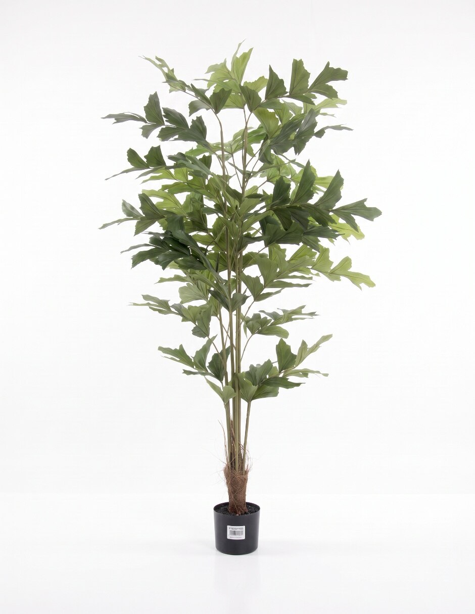 PREELABORADO ORQUÍDEA, 25 CM, BLANCO 4