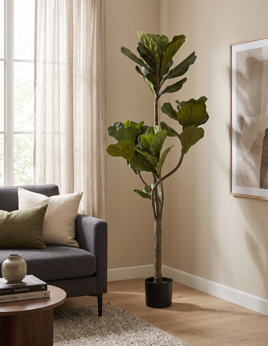 Árbol ficus 164 cm con maceta 5