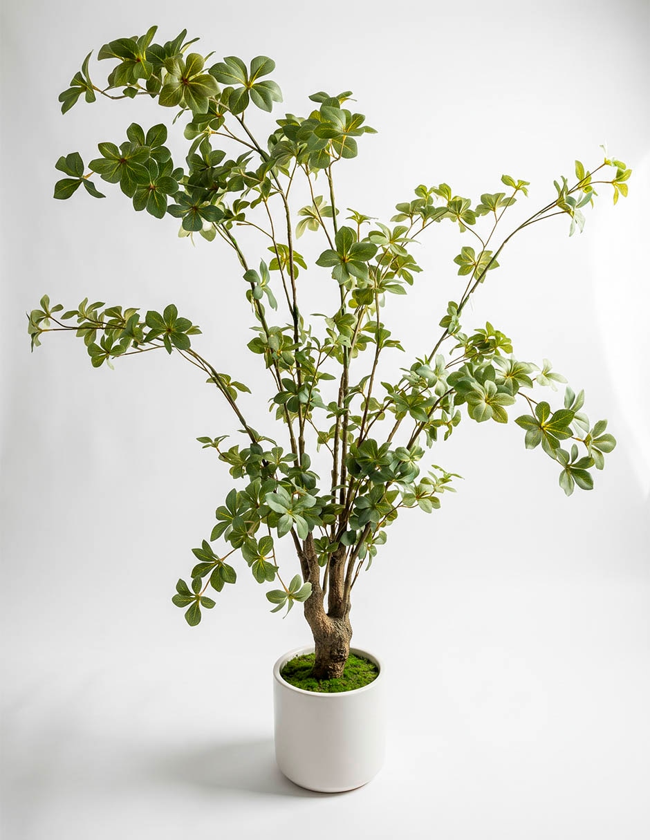 Planta abeto artificial