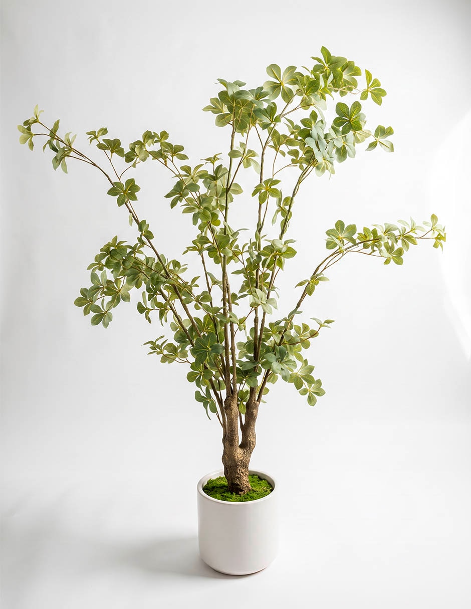 Planta abeto artificial