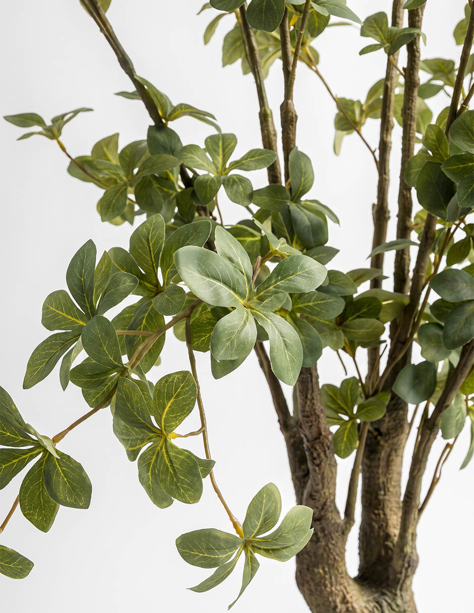 Planta abeto artificial