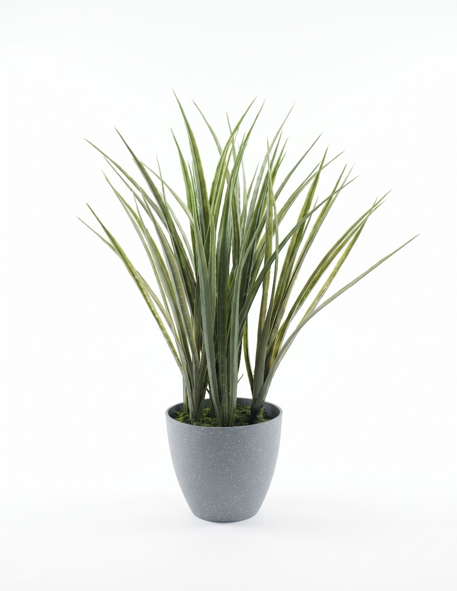 PREELABORADO ORQUÍDEA, 25 CM, BLANCO PREELABORADO ORQUÍDEA, 25 CM, BLANCO