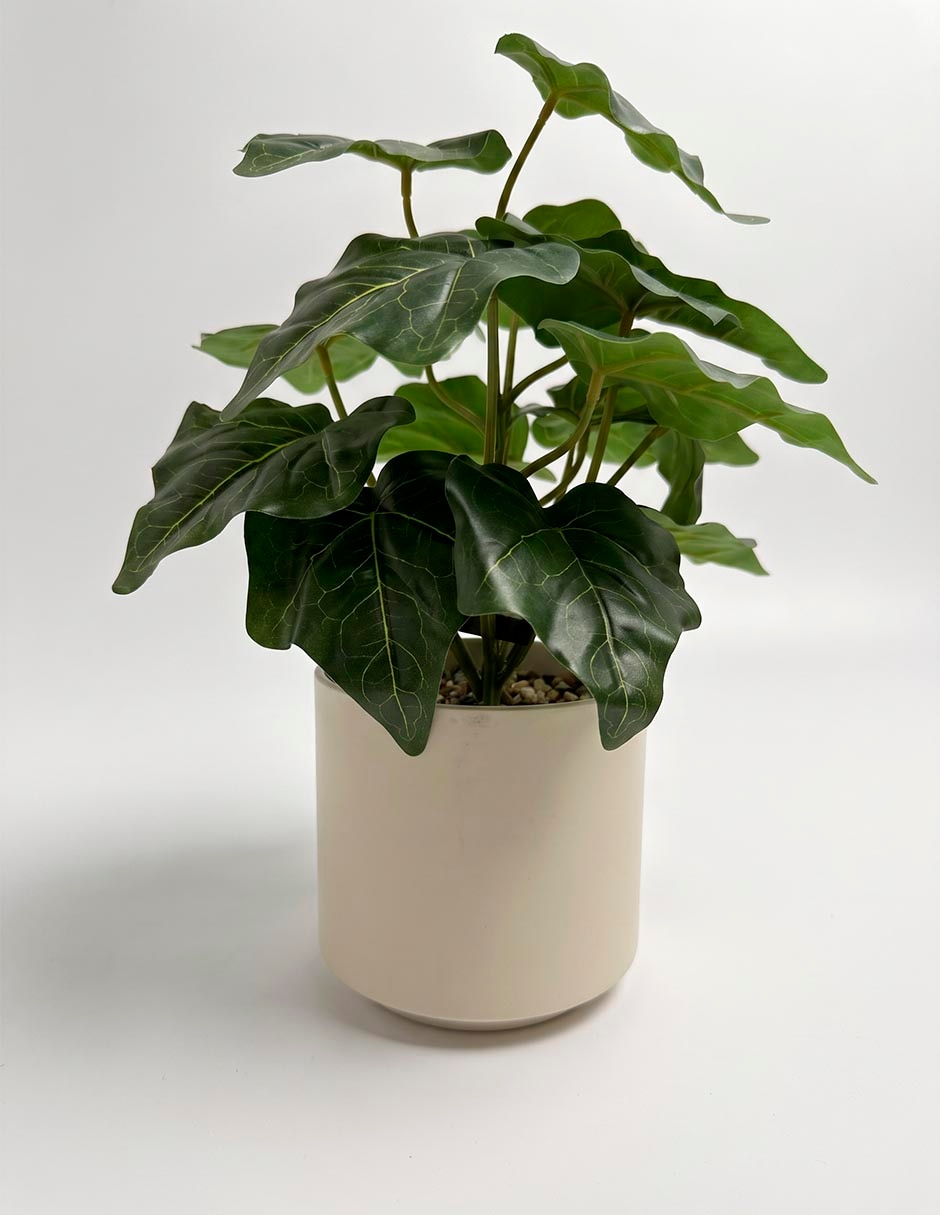 Tindora artificial