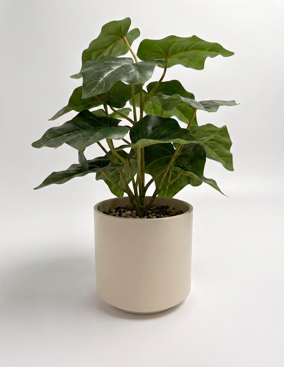 Tindora artificial 3