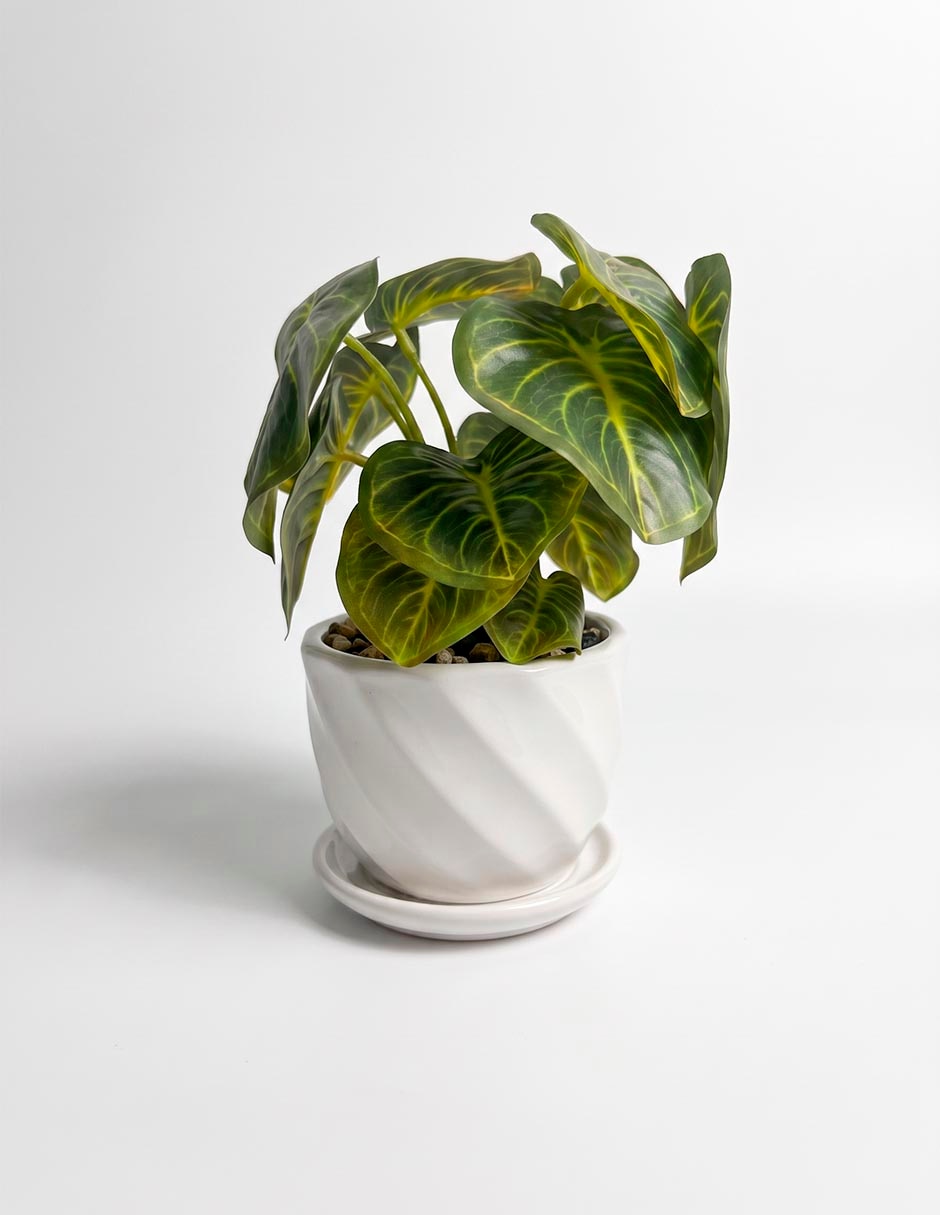 Begonia artificial