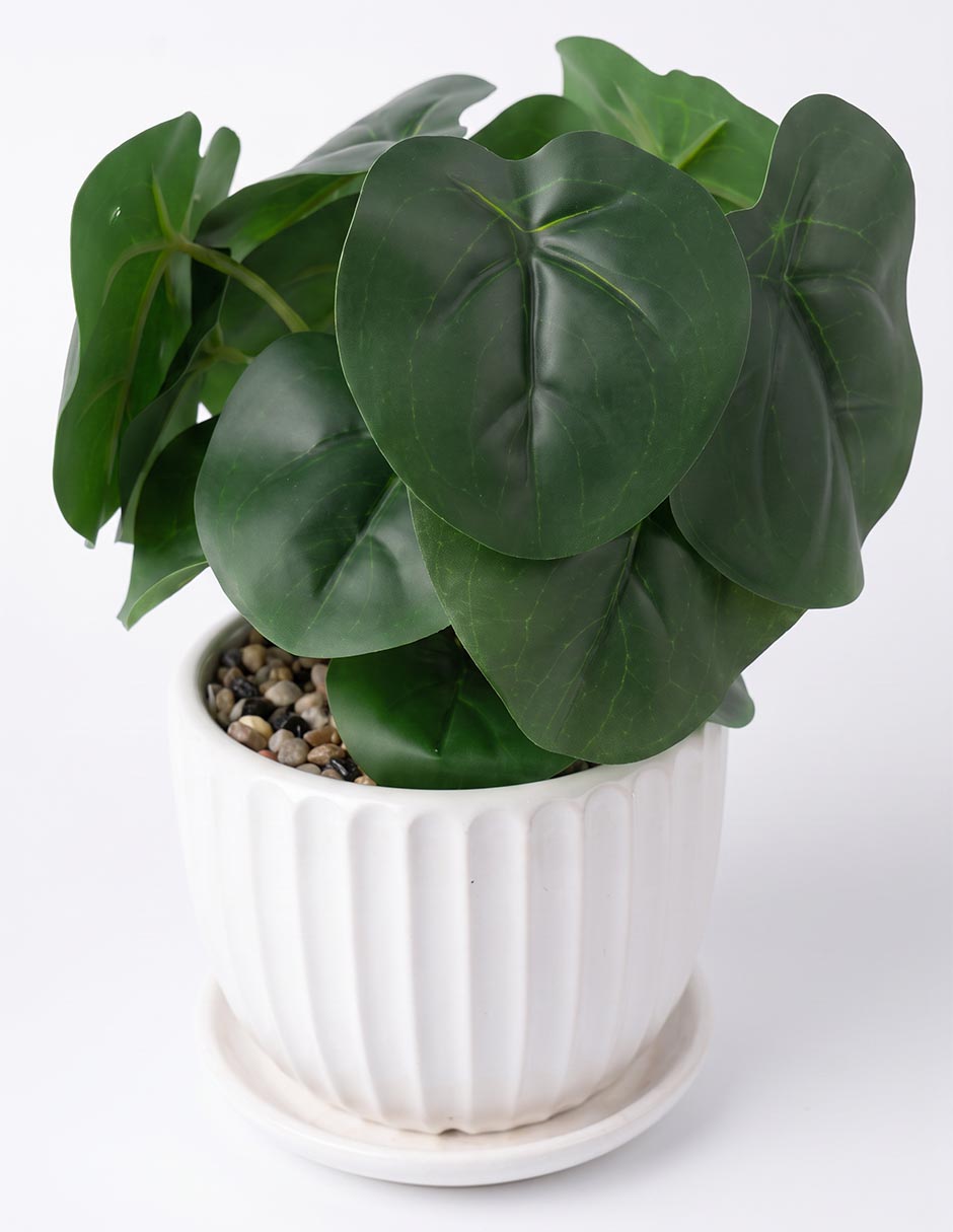 Begonia artificial 2