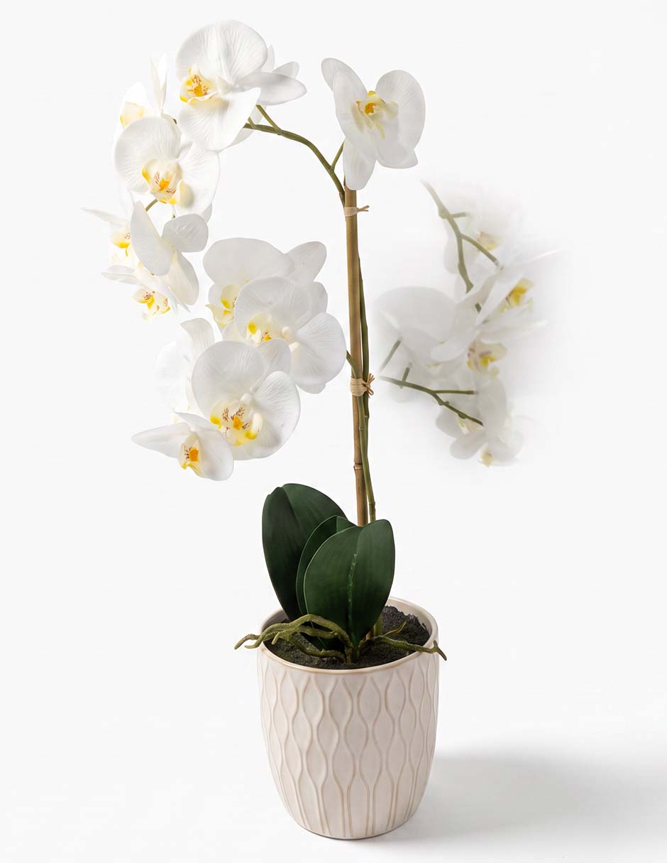 Preelaborado de orquídea 1